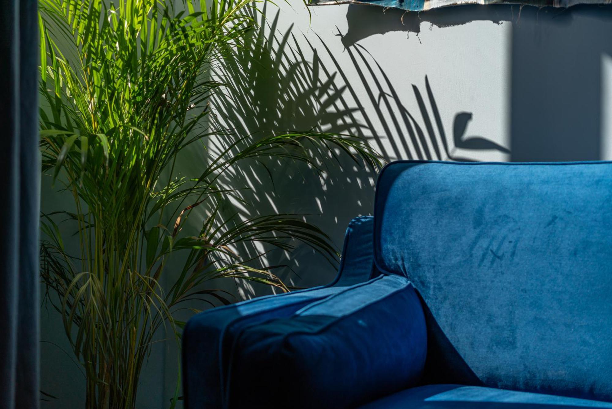 Le Bleu Jean Denim Arenes - Nuit A